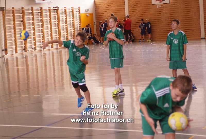 3210945 hvo_2.jpg